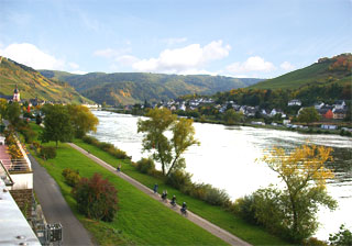 Neue Ferienwohnung Zell Mosel