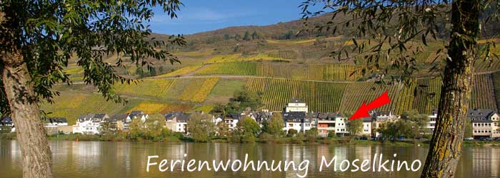 Ferienhaus mit Sauna Zell Mosel